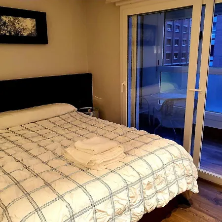 Apartment Newly Renovated In Downtown *
