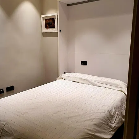 Apartment Newly Renovated In Downtown